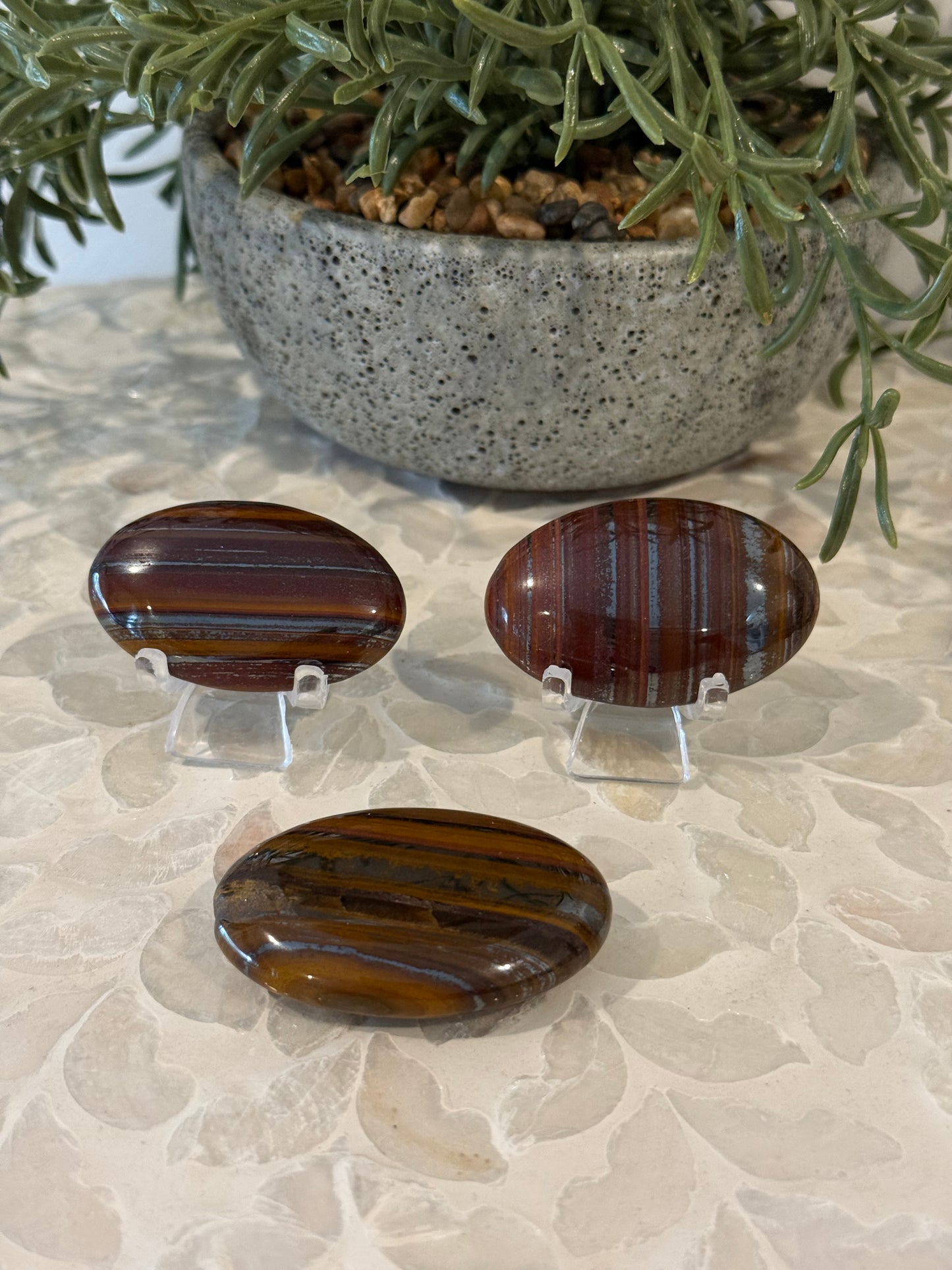 Tiger Iron Palm Stone