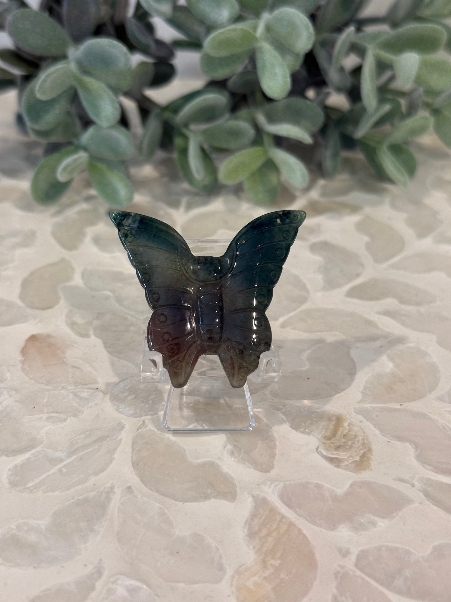 Ocean Jasper Butterfly
