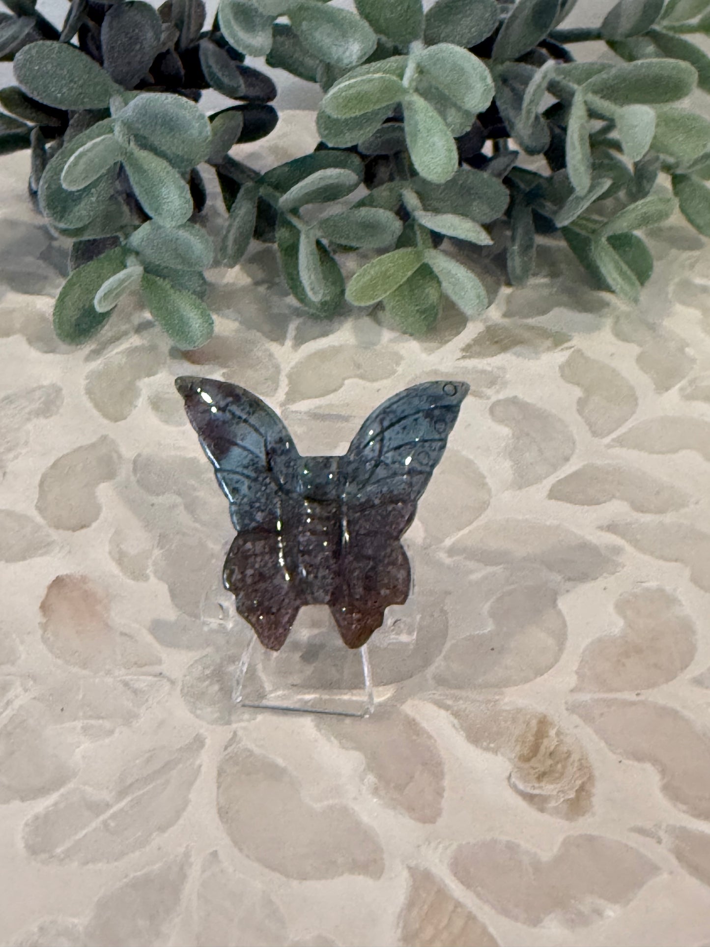 Ocean Jasper Butterfly