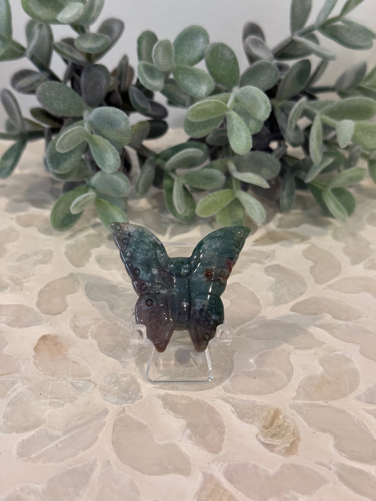 Ocean Jasper Butterfly