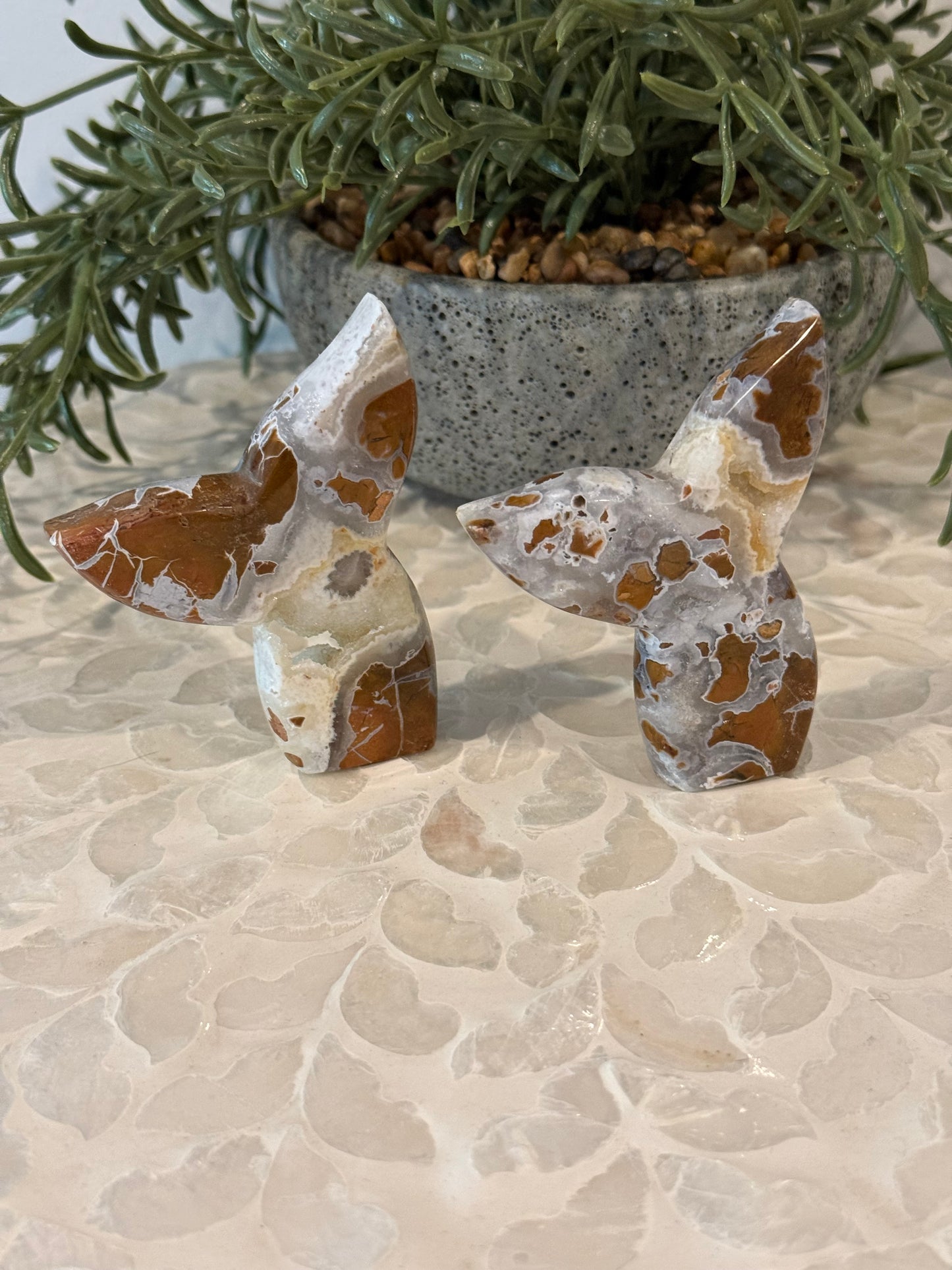 Brecciated Jasper Whale Tail