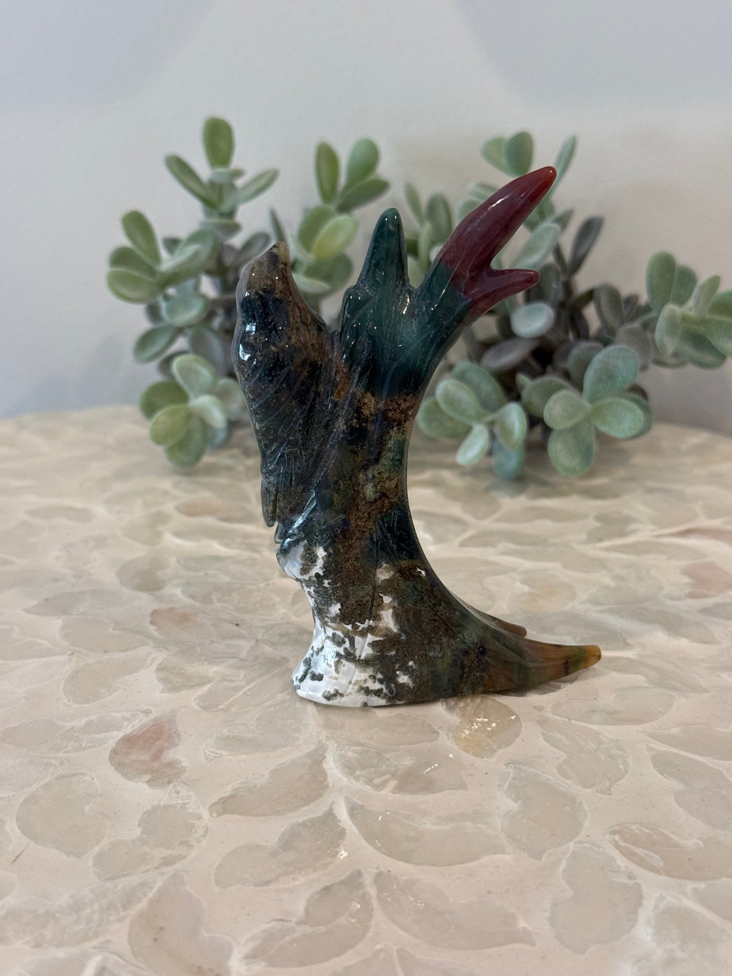 Ocean Jasper Bird in Tree