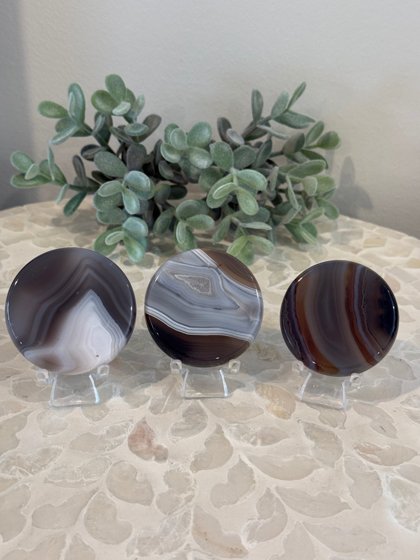 Agate Flat Palm