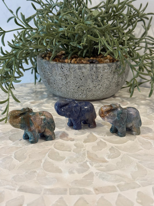 Small Elephant - Ocean Jasper and Sodalite