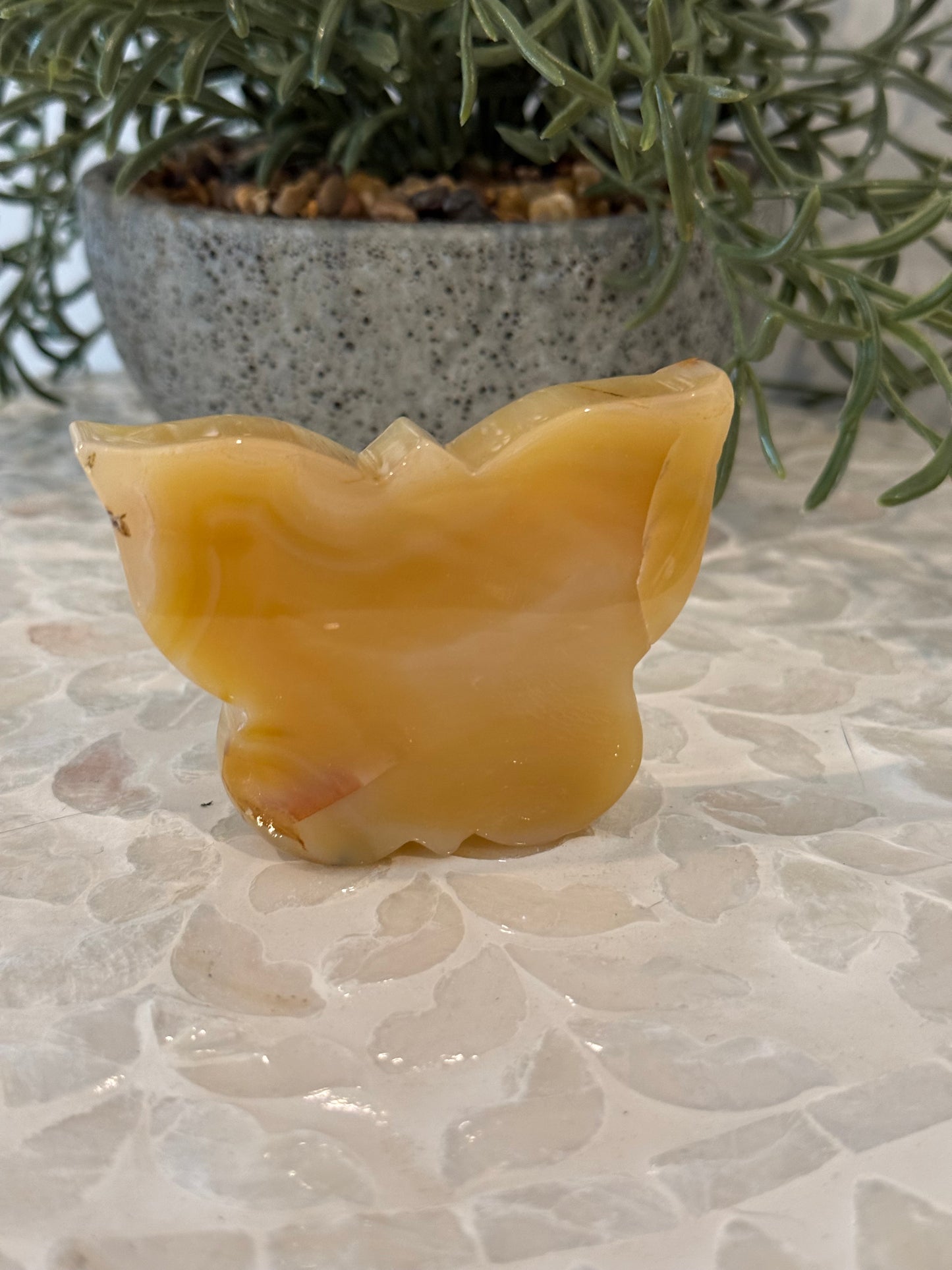 Yellow Druzy Agate Butterfly - Freestanding