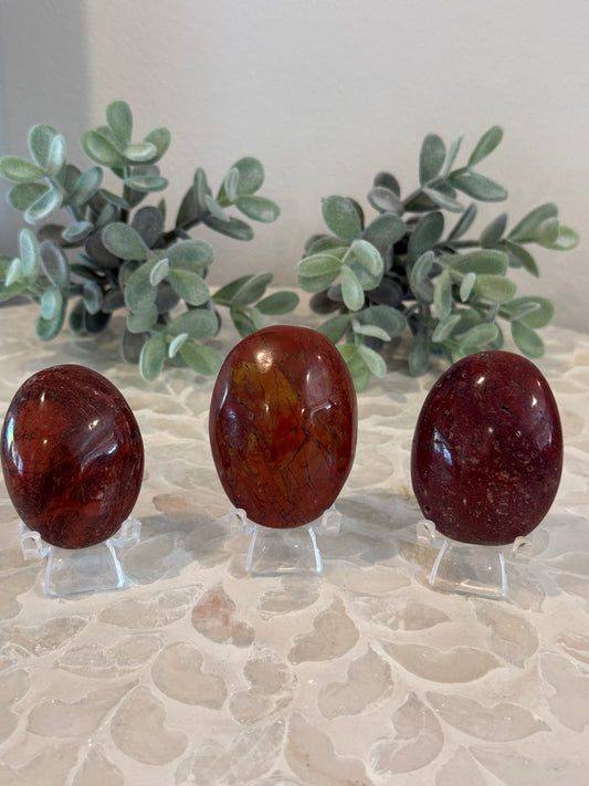 Petrified Wood Palm Stones