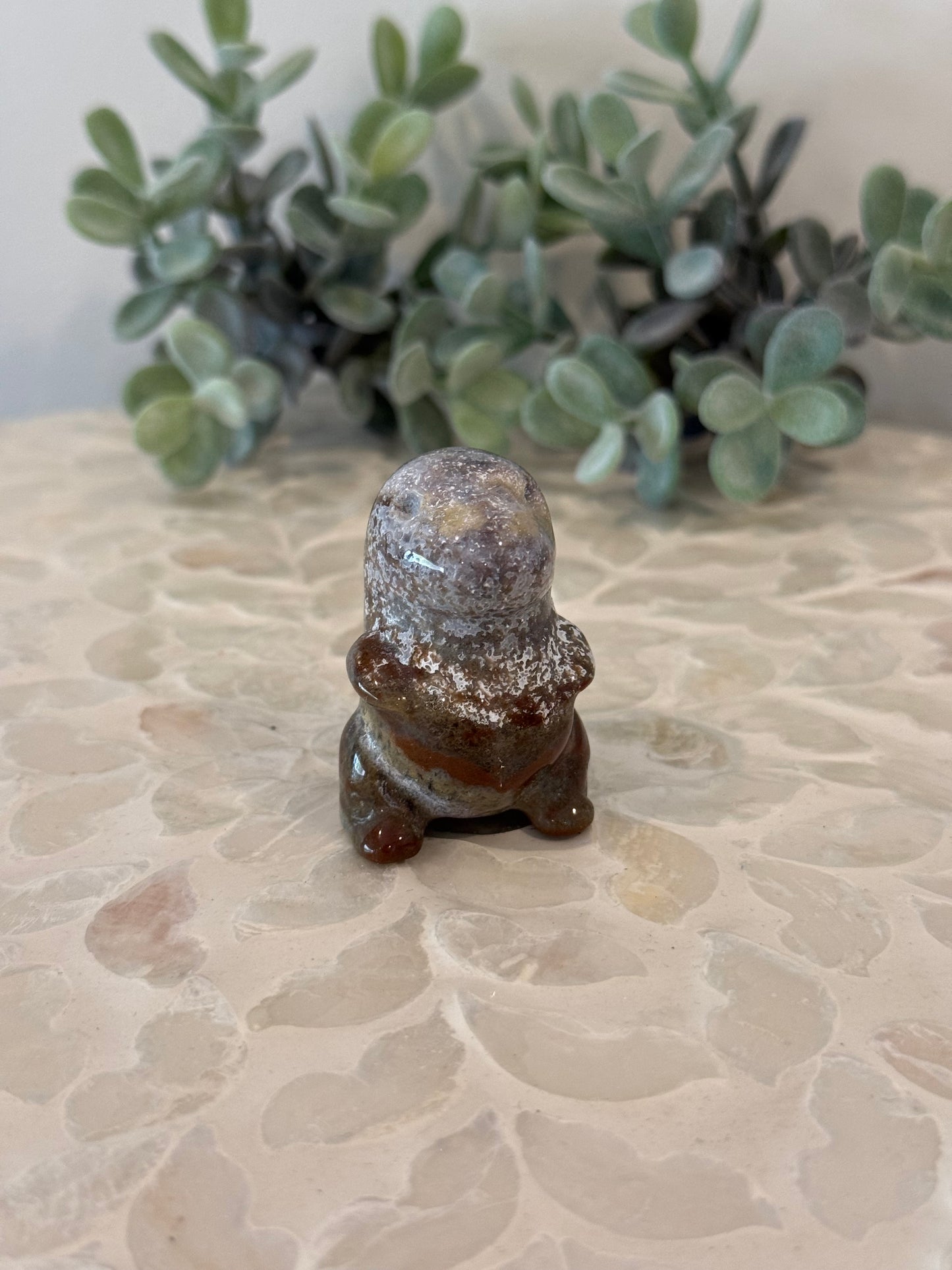 Ocean Jasper Chubby Dinos