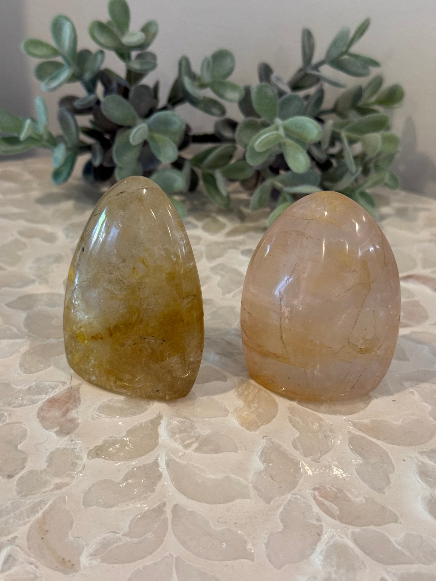 Golden Healer Freefroms