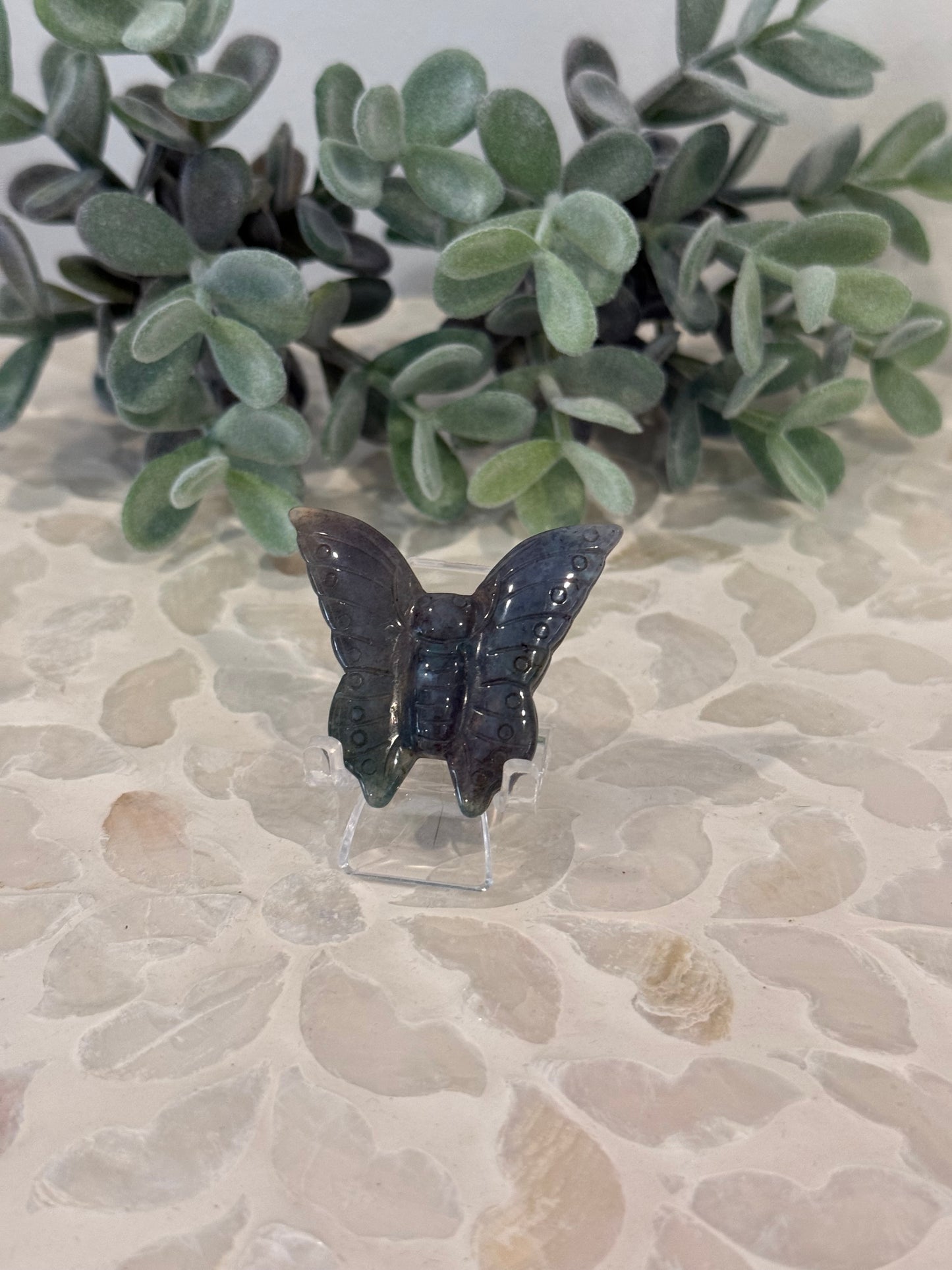 Ocean Jasper Butterfly