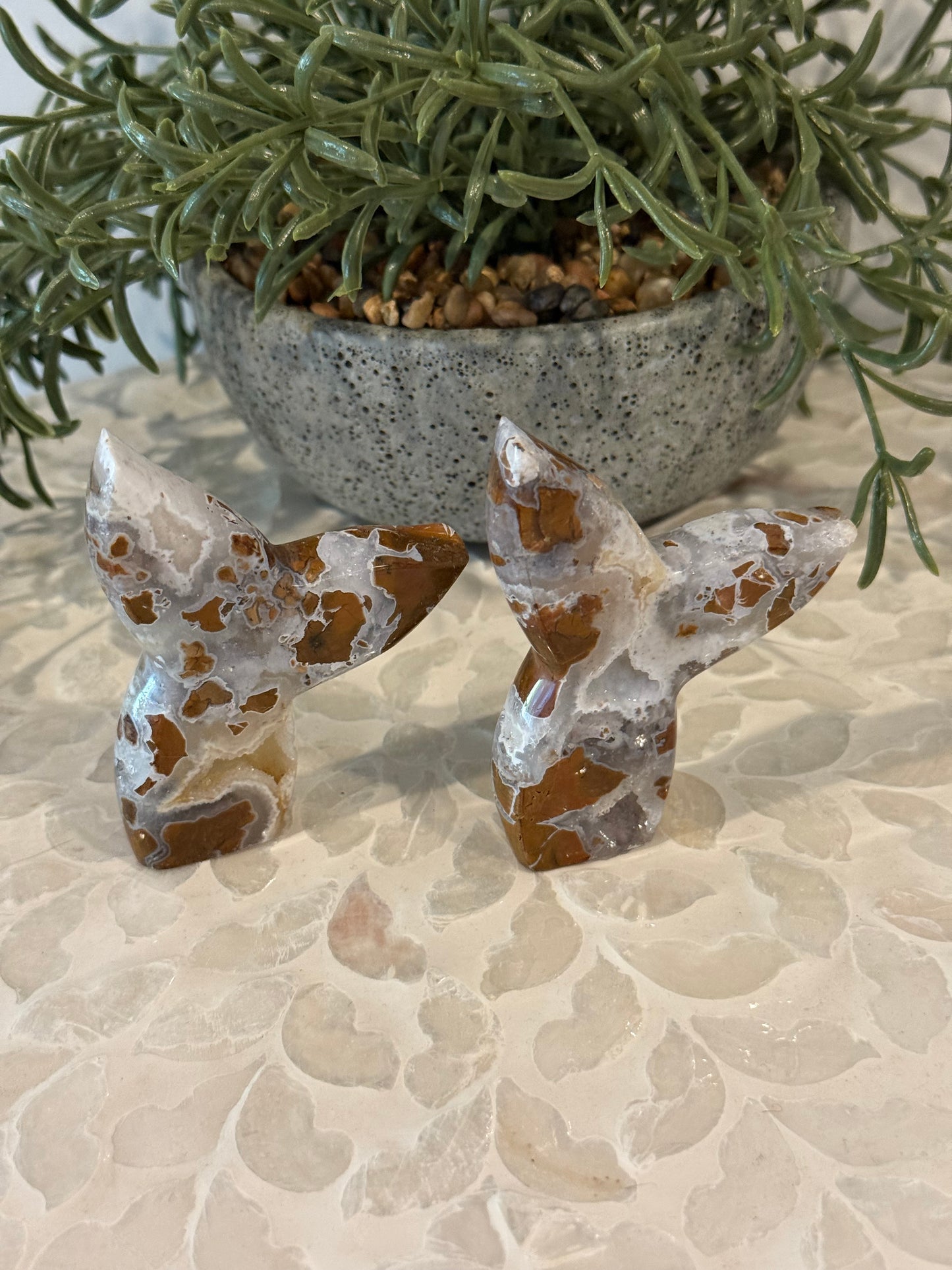 Brecciated Jasper Whale Tail