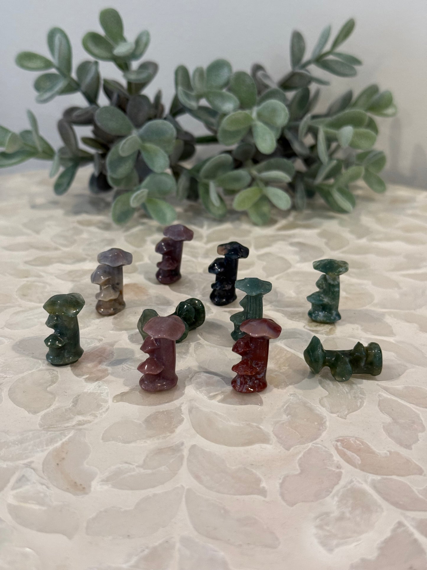 Ocean Jasper Mushroom