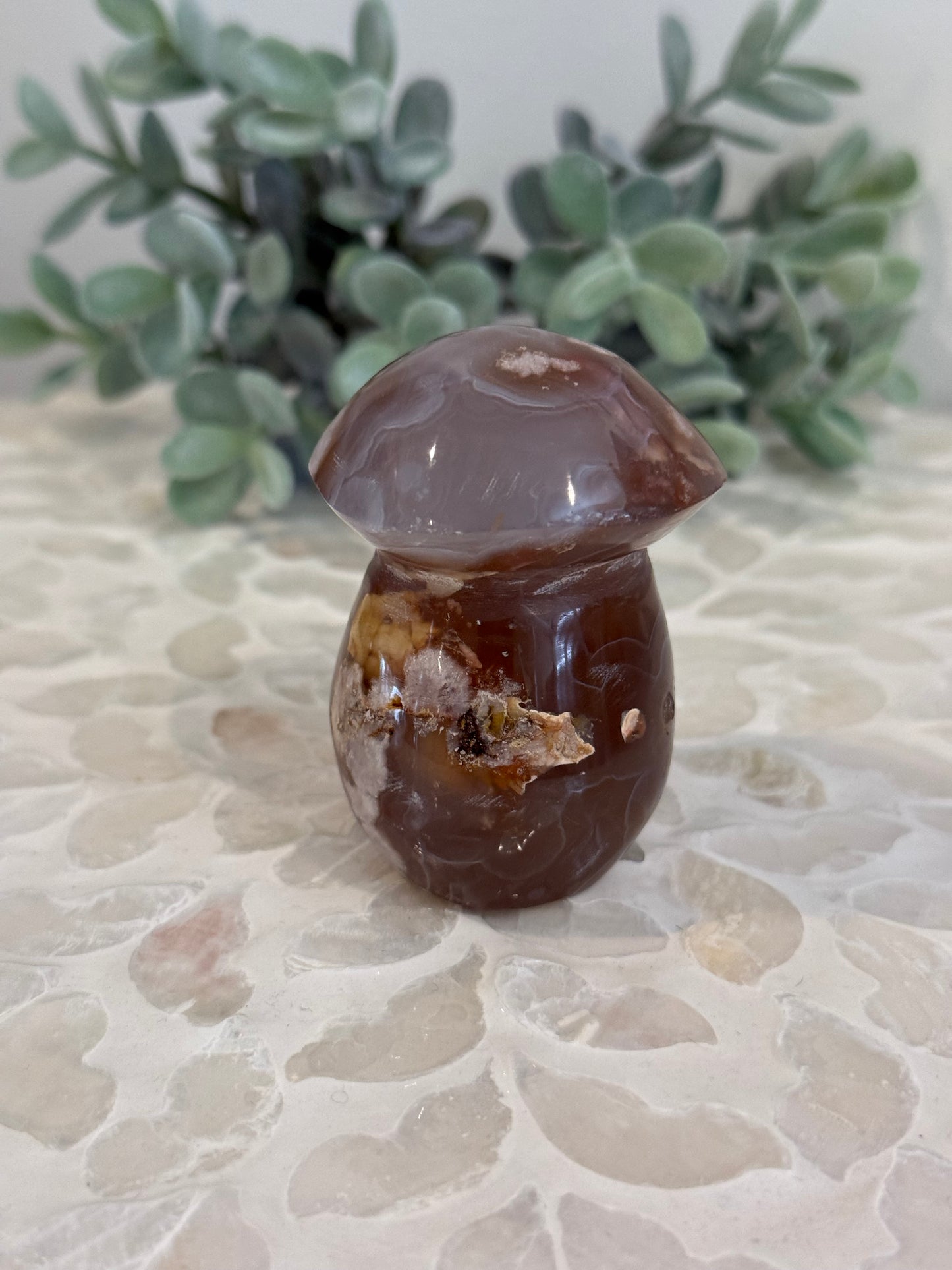 Flower Agate Mushroom