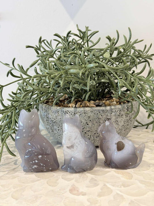Druzy Agate Cats