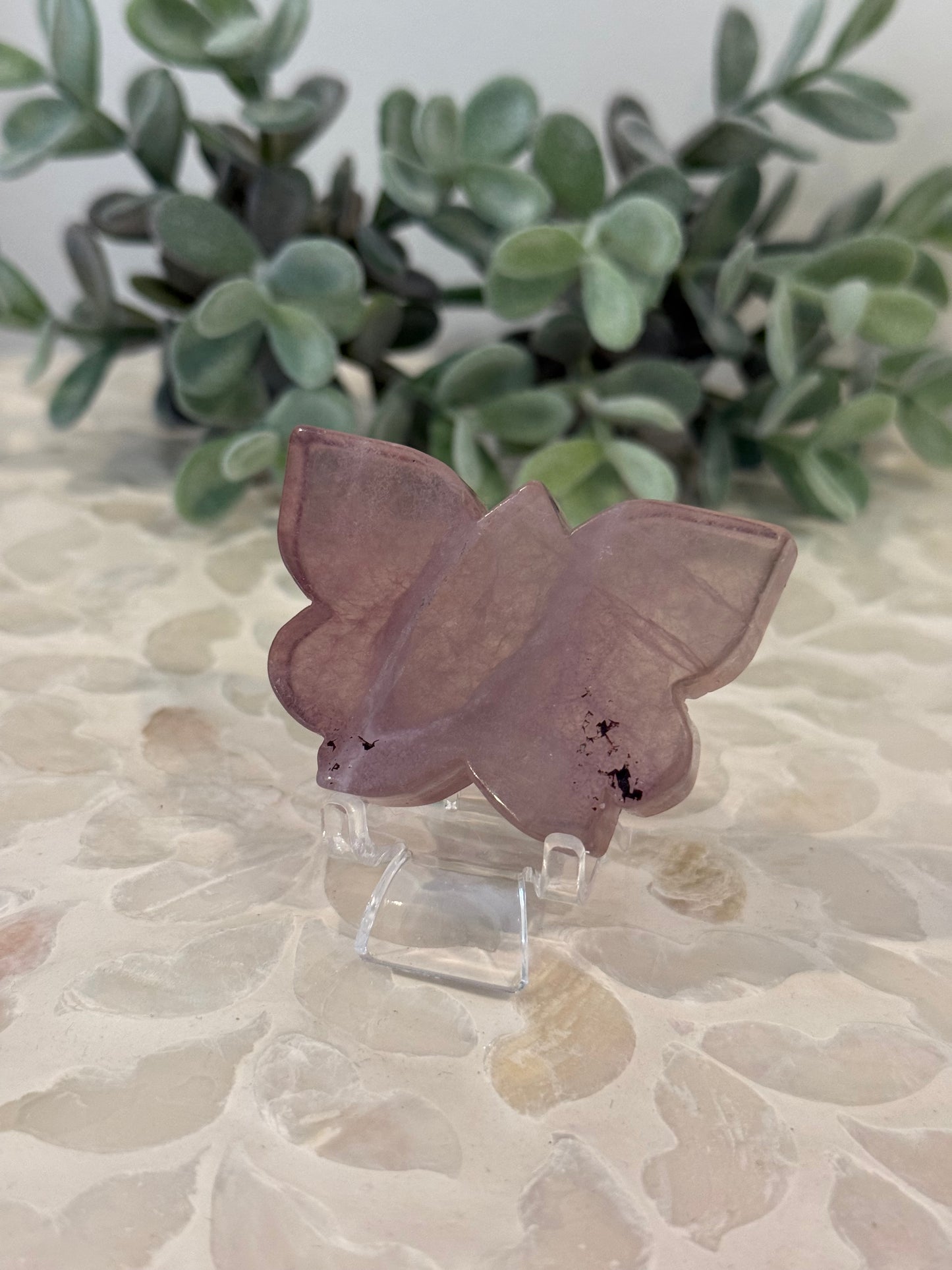 Purple Fluorite Butterfly