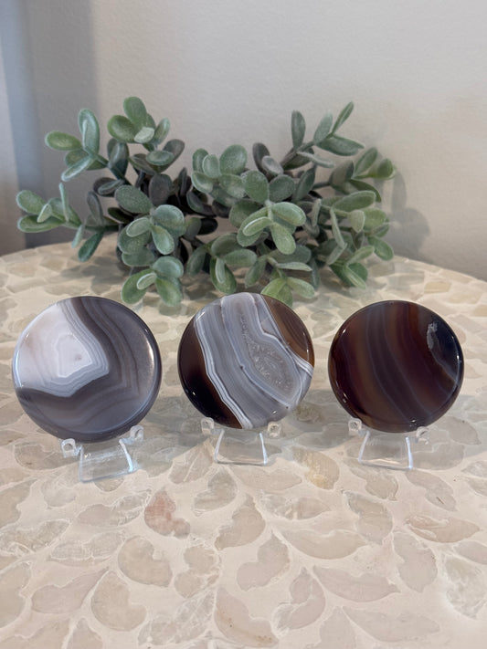 Agate Flat Palm