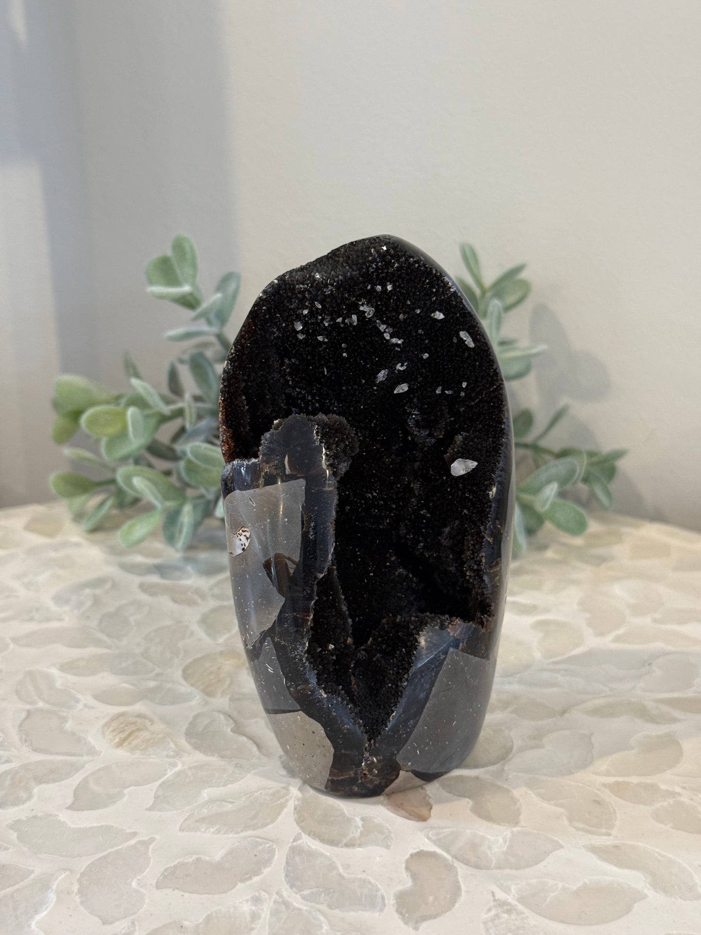 Septarian Freeform with Calcite