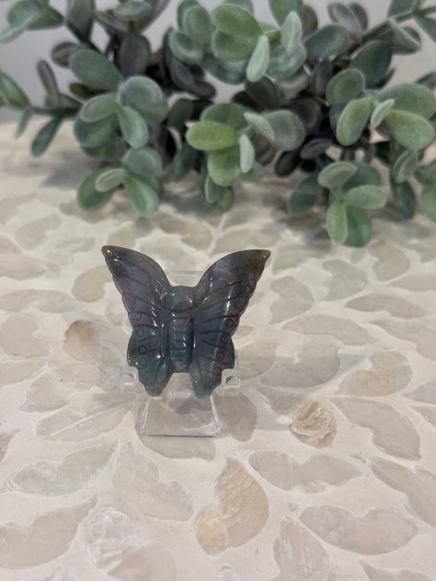 Ocean Jasper Butterfly