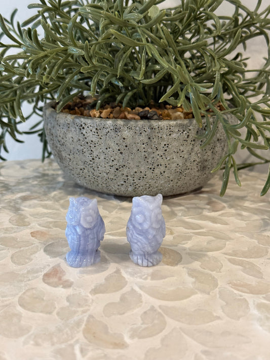 Mini Blue Lace Agate Owls - Crystal Owl