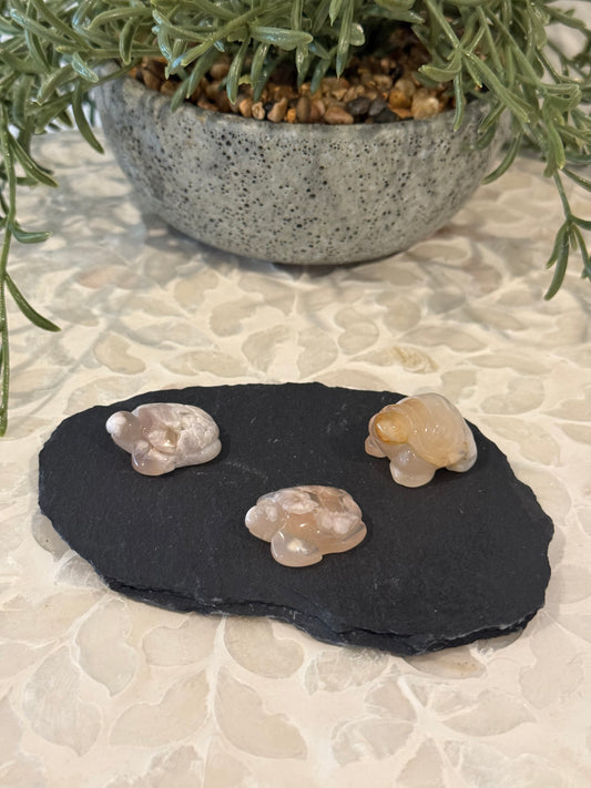 Flower Agate Turtle - Mini