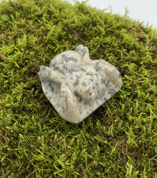 Crazy Lace Agate Spiders