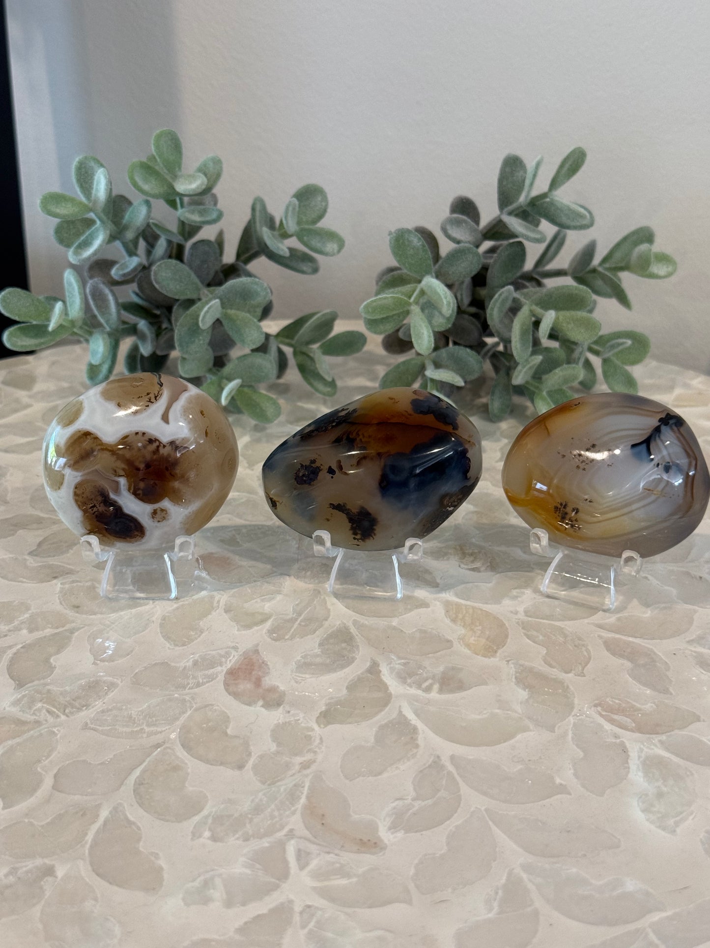 Dendritic Agate Palm Stones