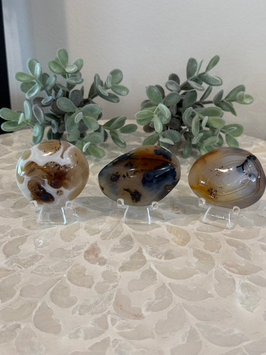 Dendritic Agate Palm Stones
