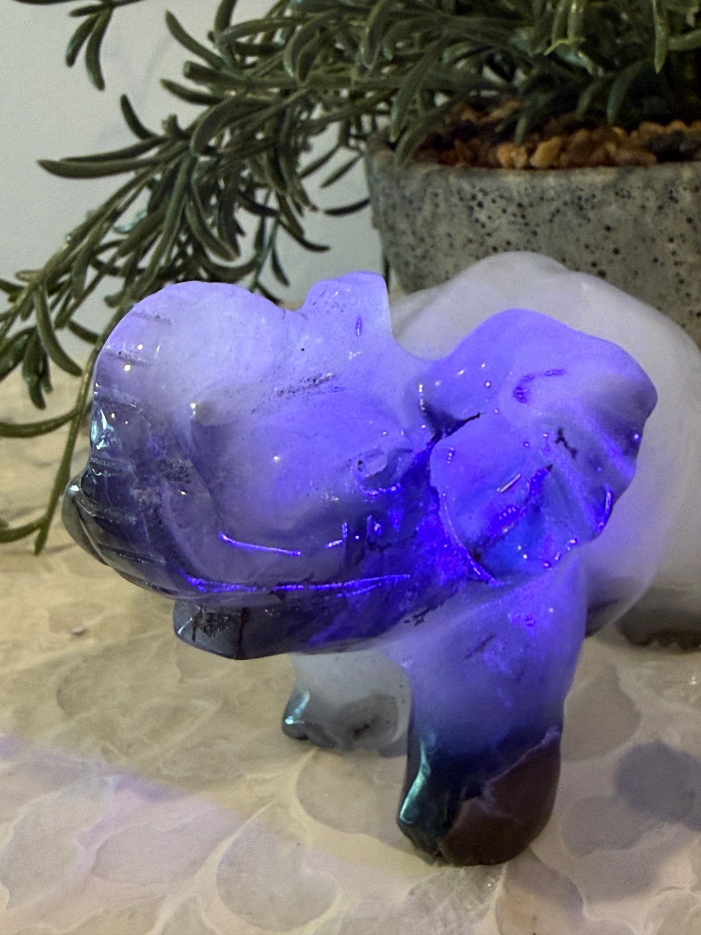 Volcano Agate with Quartz Elephant - Large - Crystal Elephant