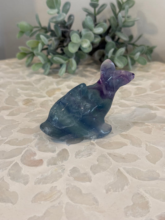 Rainbow Fluorite Dolphin