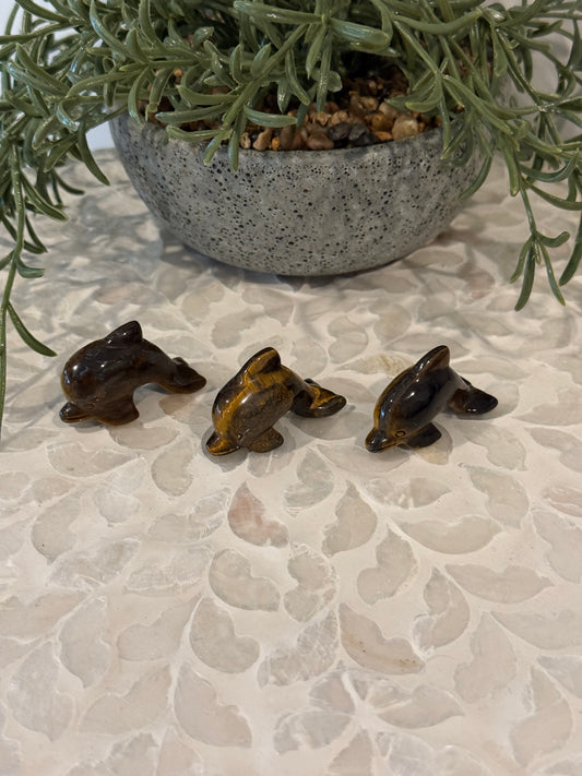 Tiger Eye Dolphin