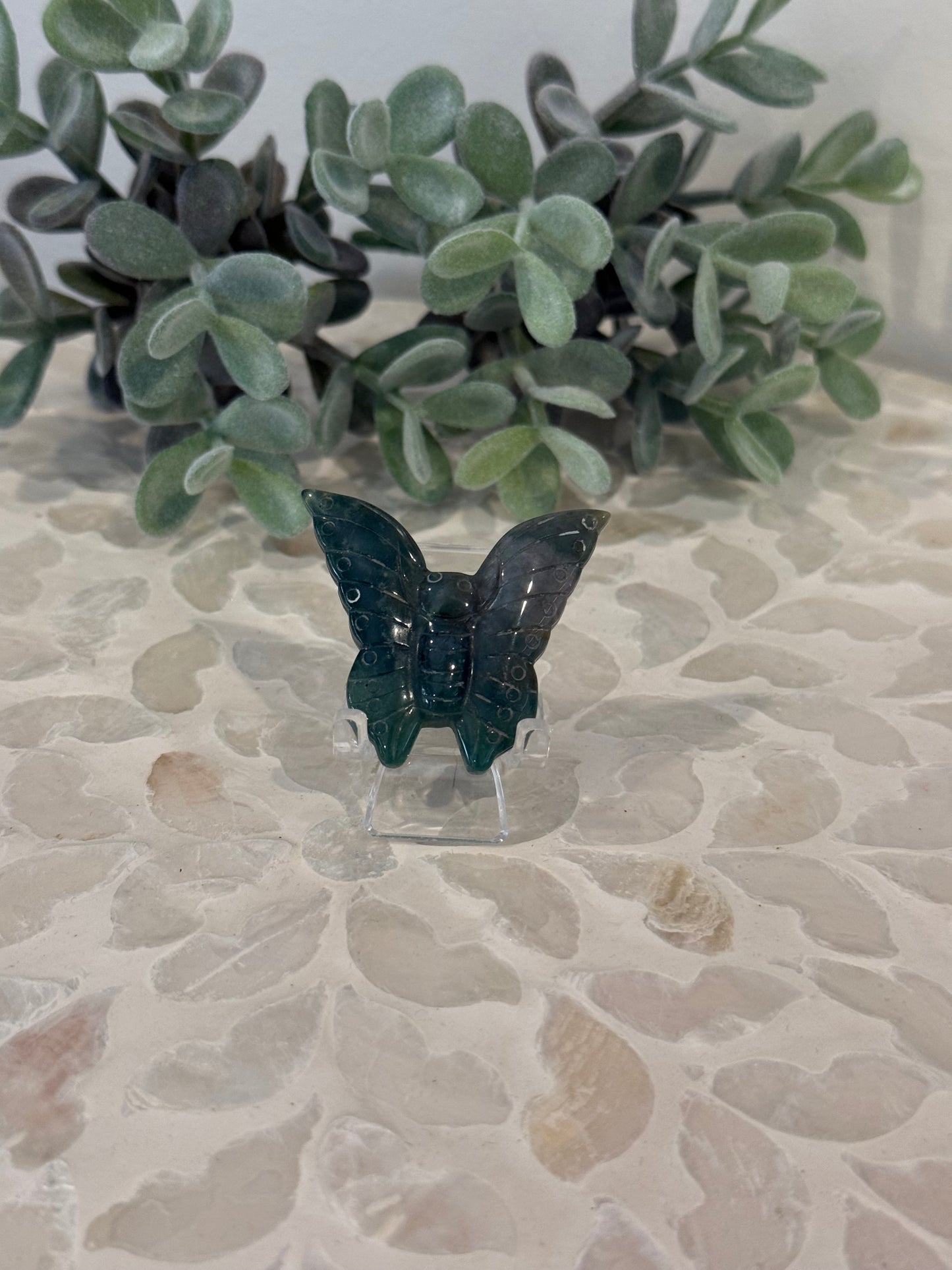 Ocean Jasper Butterfly