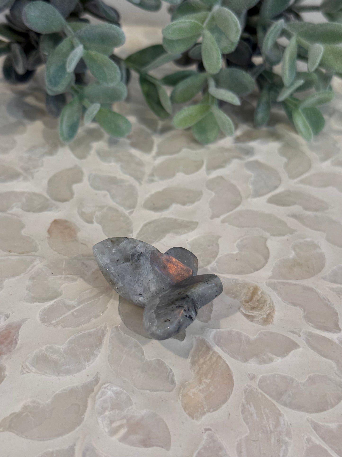 Labradorite 3D Butterfly