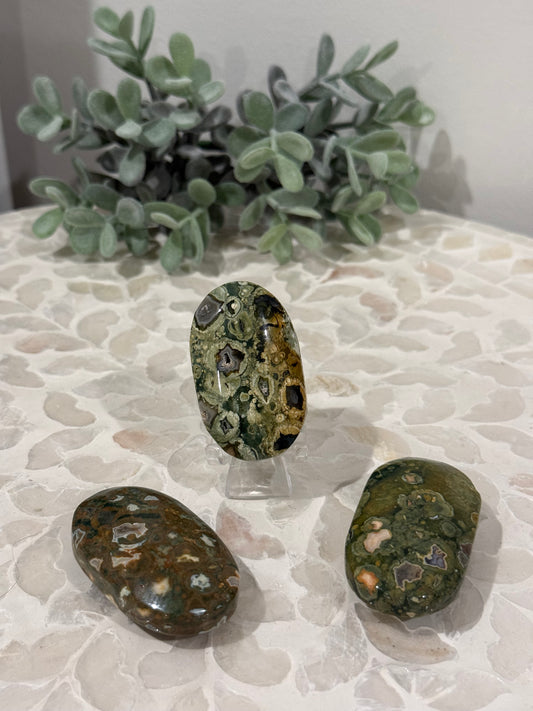 Rainforest Jasper Palms