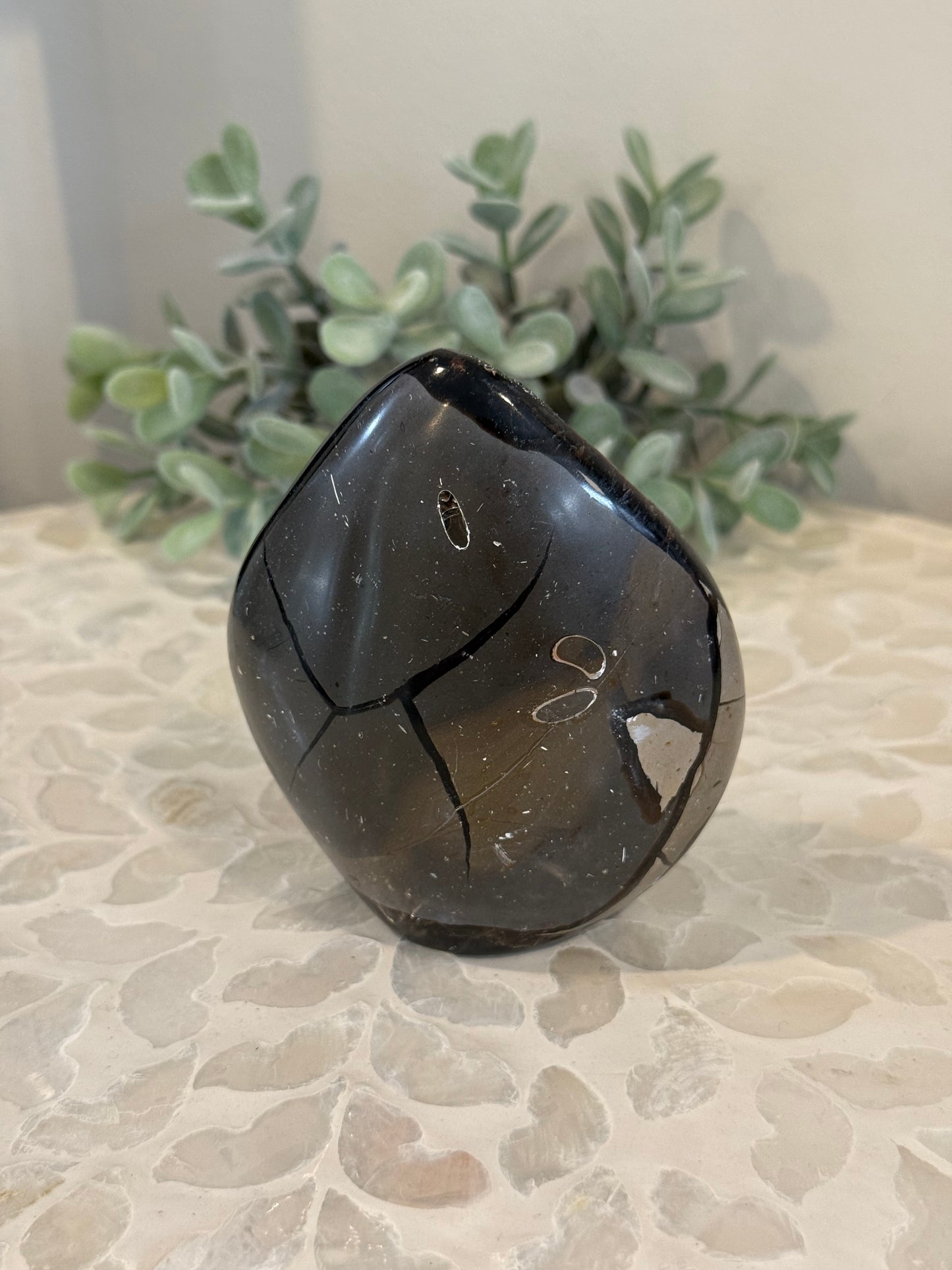 Septarian Freeform with Calcite