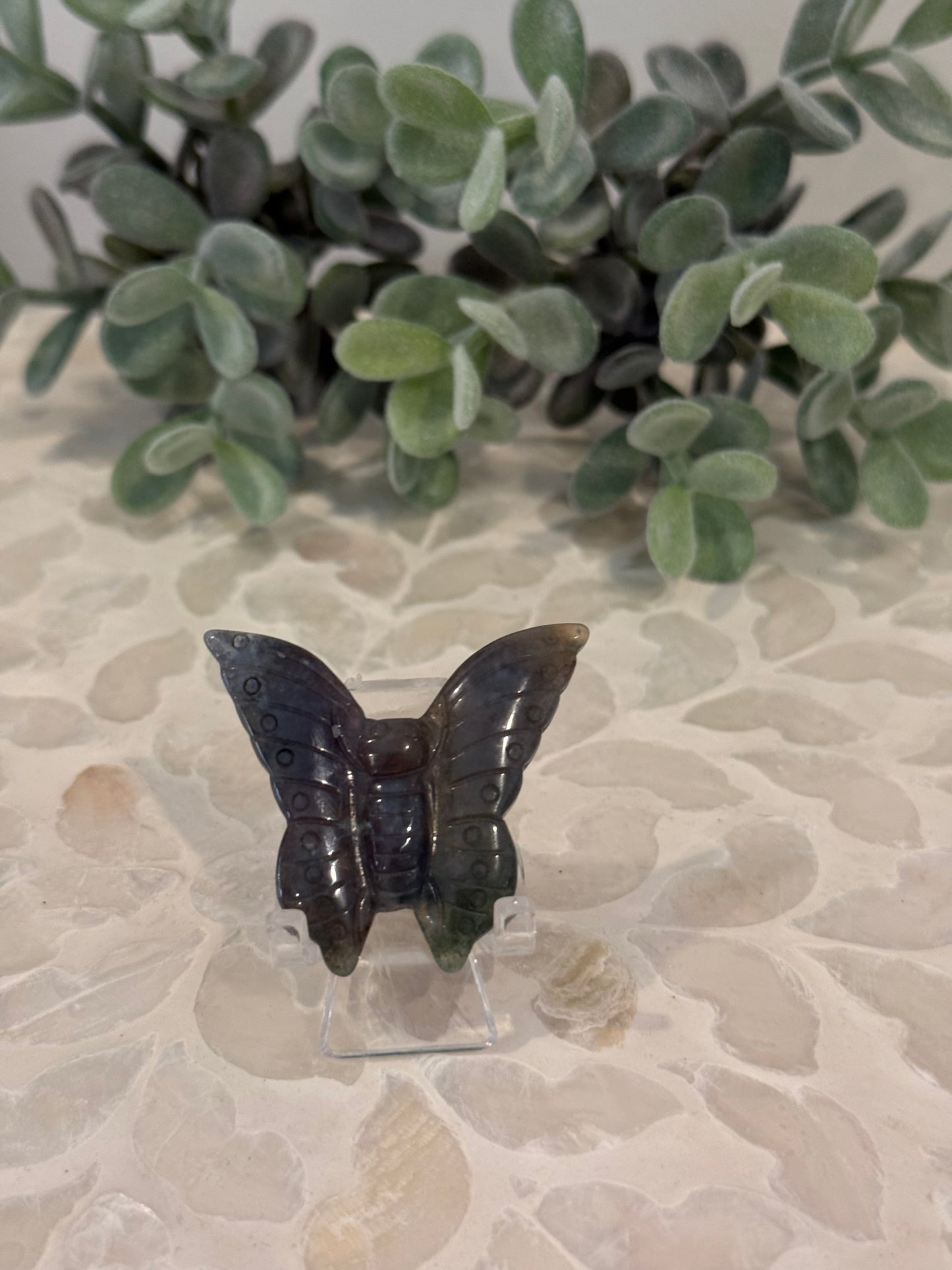 Ocean Jasper Butterfly