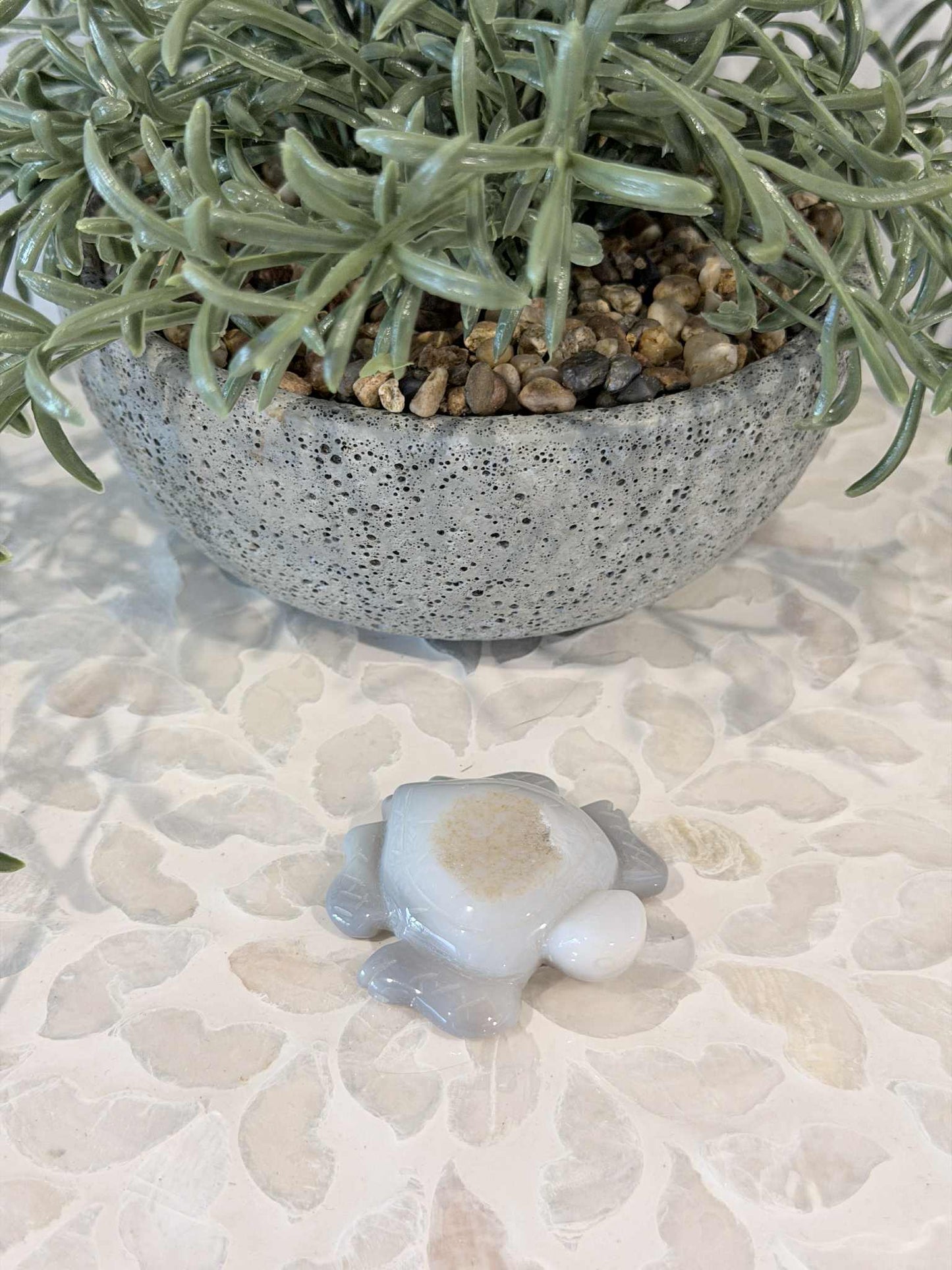 Druzy Agate Turtle