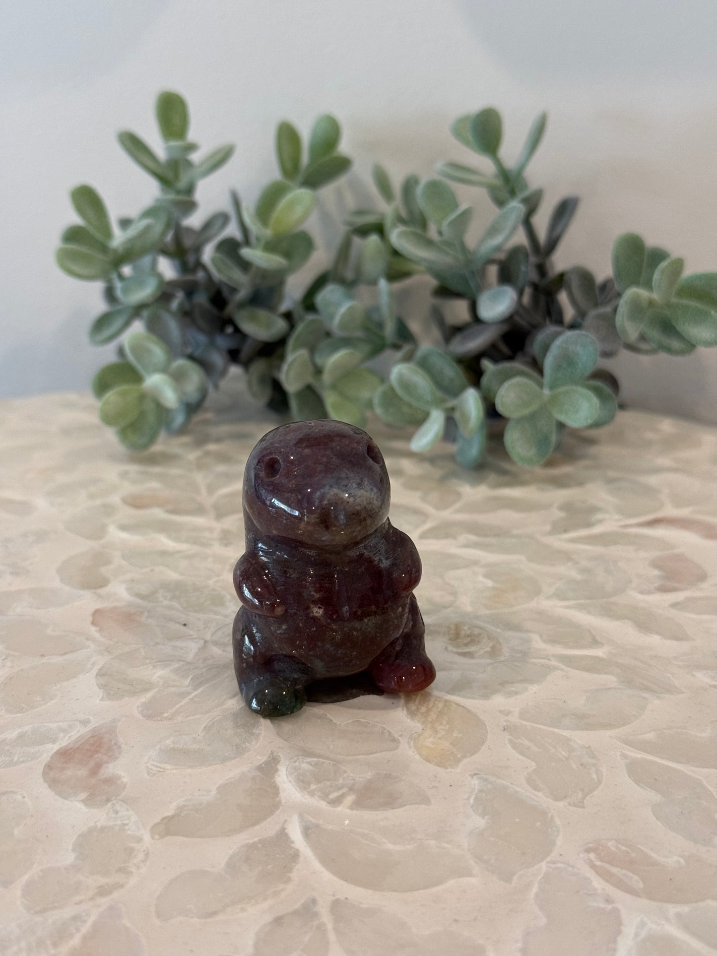 Ocean Jasper Chubby Dinos