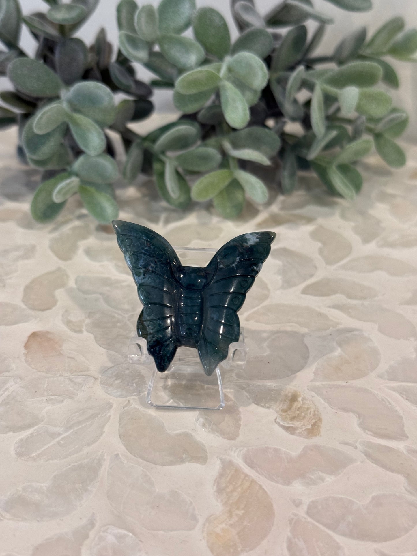 Ocean Jasper Butterfly