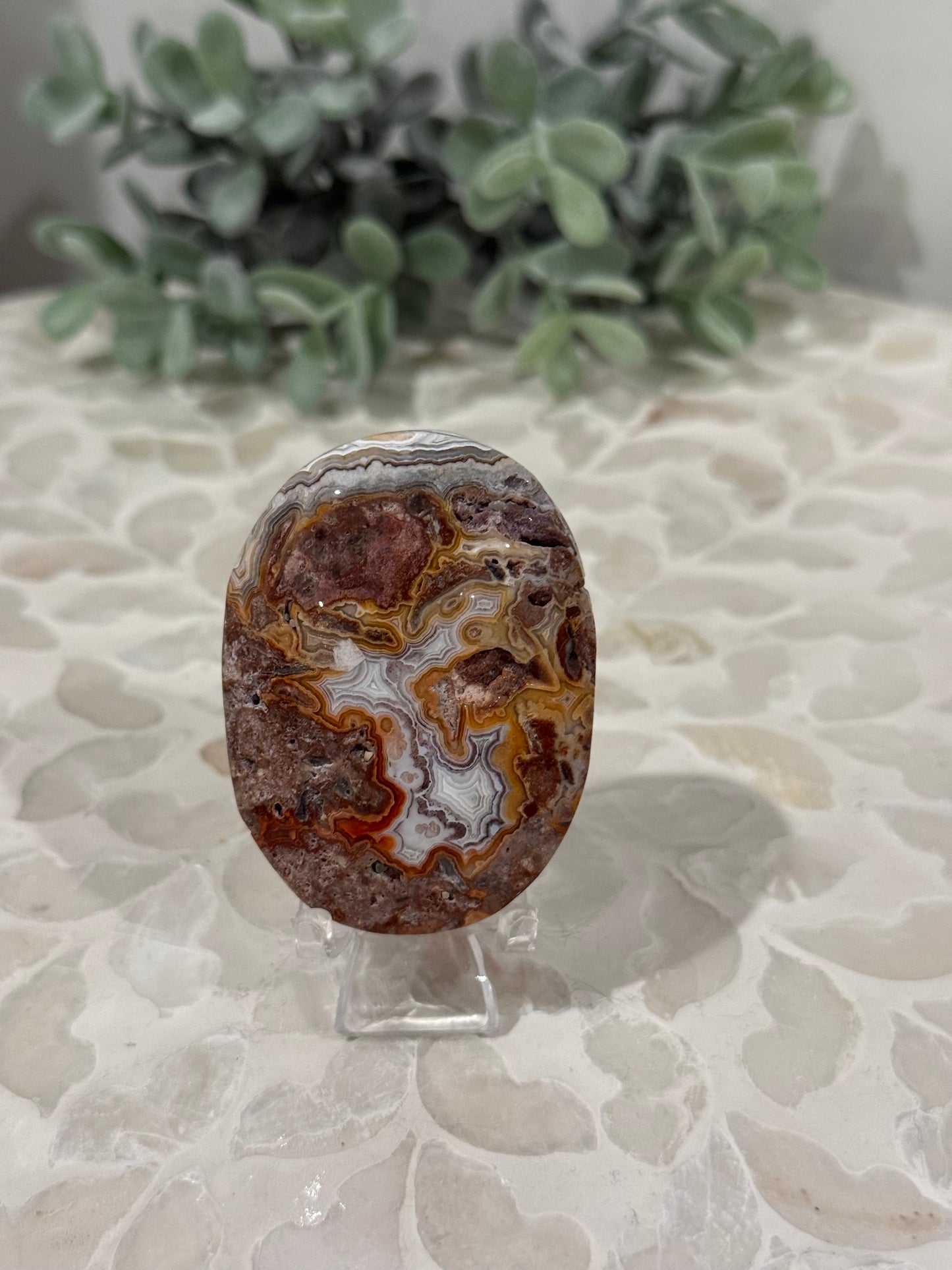 Crazy Lace Palm Stones