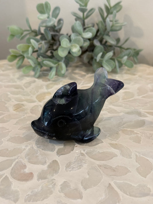 Rainbow Fluorite Dolphin