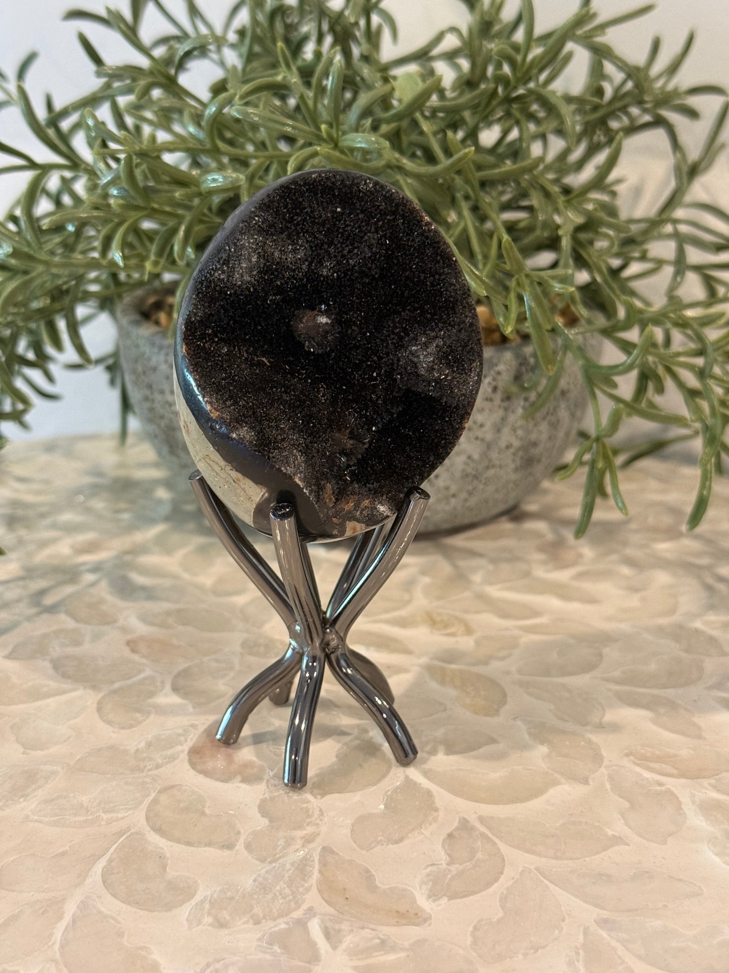 Septarian Egg with Stand