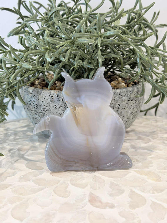 Druzy Agate Cat
