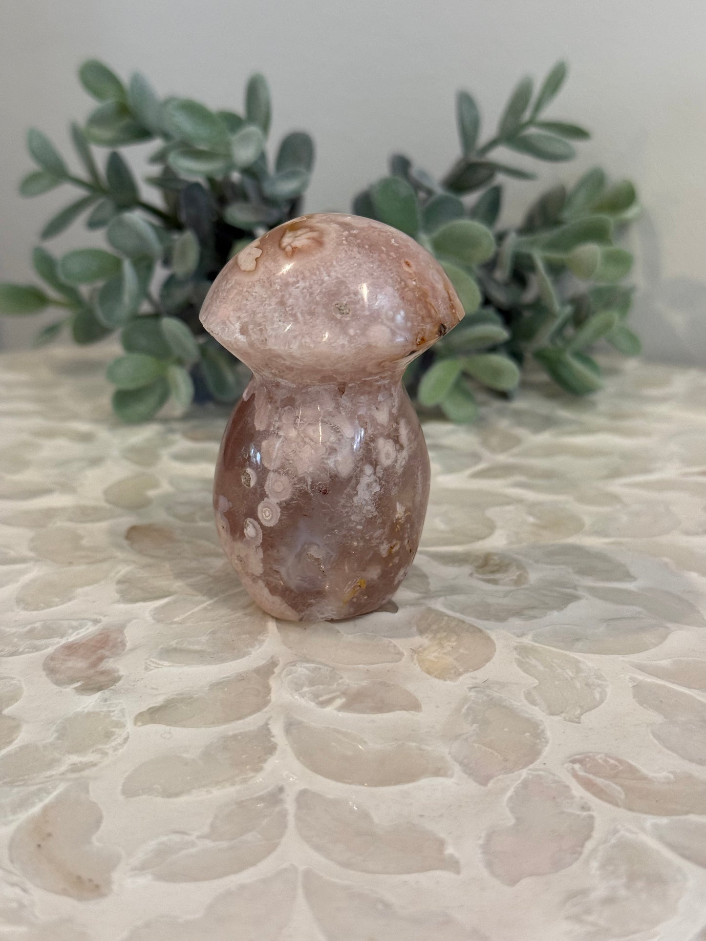 Flower Agate Mushroom