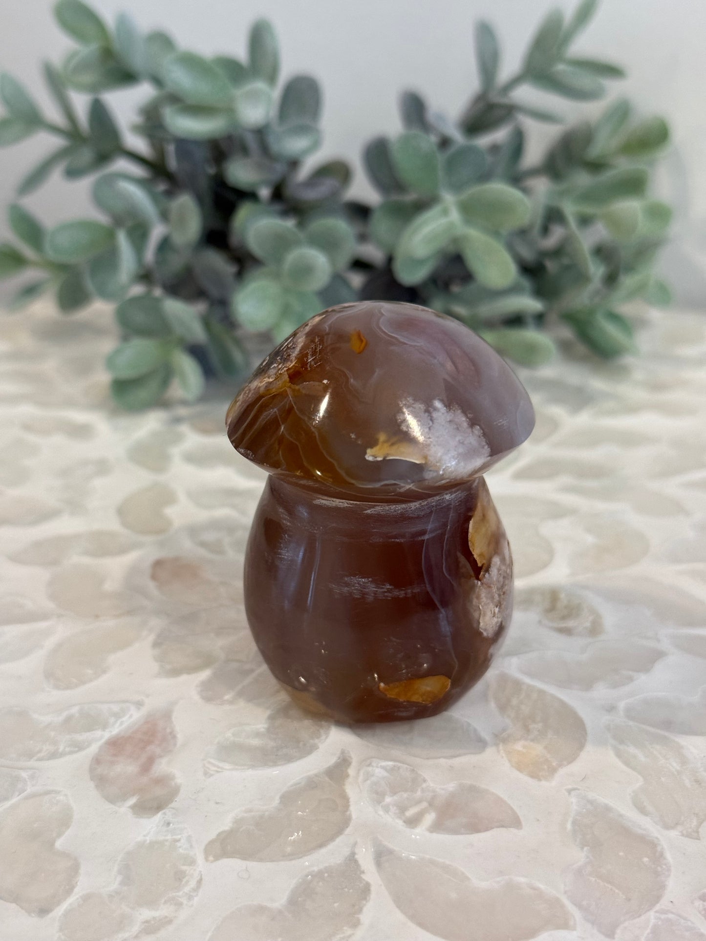 Flower Agate Mushroom