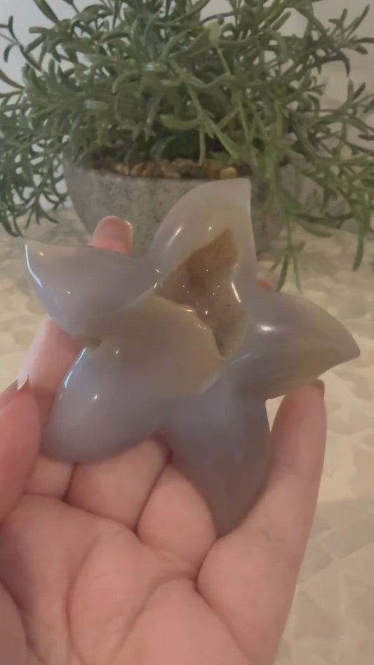 Druzy Agate Starfish